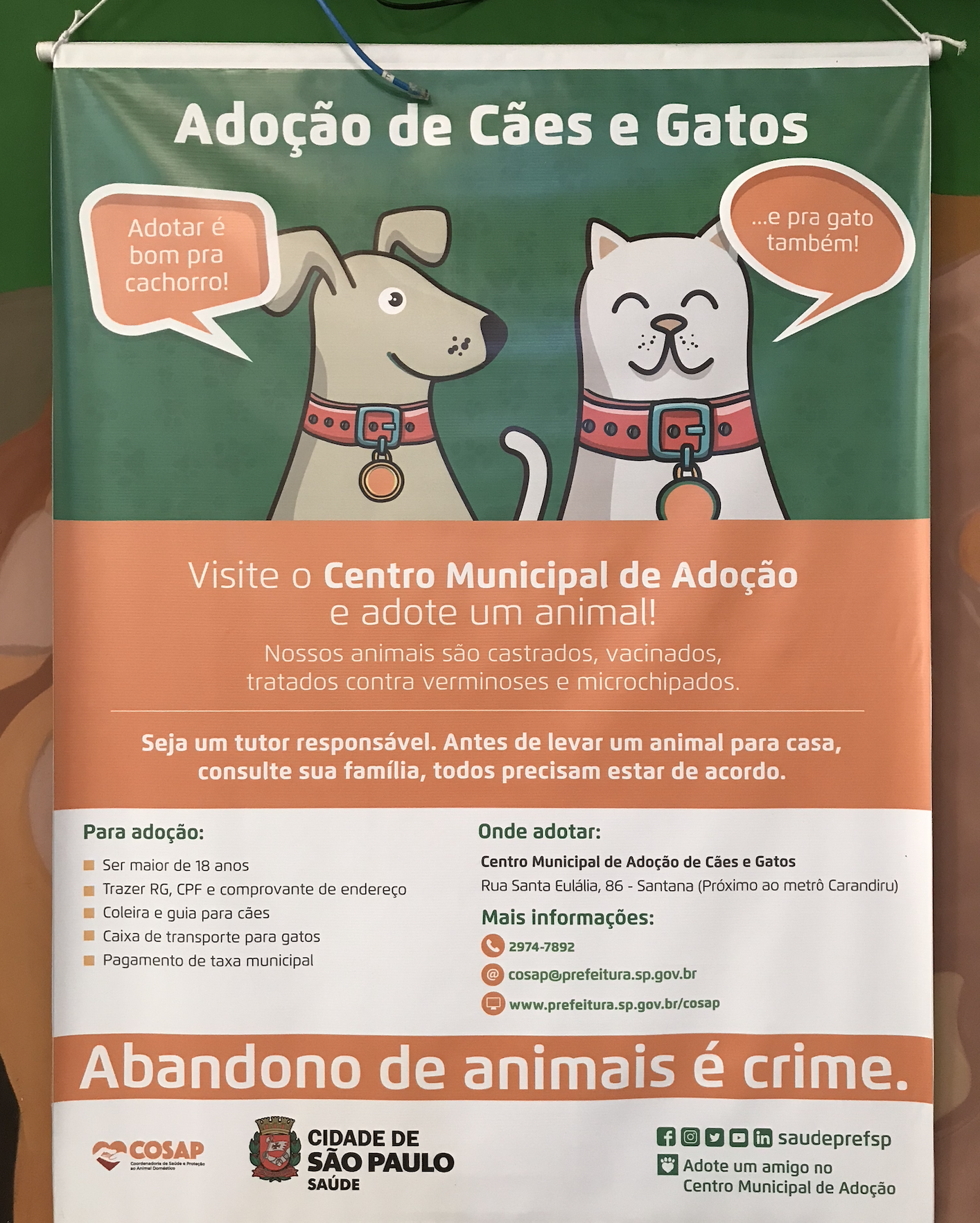 Madrugada de filas no hospital veterinário público de São Paulo